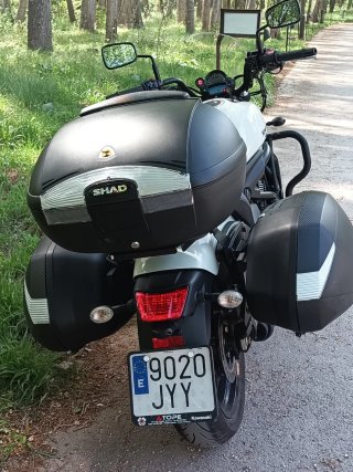 Kawasaki Vulcan S  Blanca