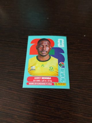 Cromo Sherel Floranus PEC Zwolle (NED)