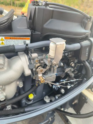 Motor fueraborda