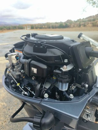Motor fueraborda