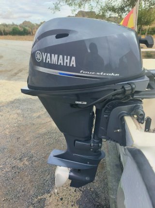 Motor fueraborda