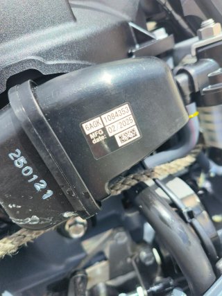 Motor fueraborda