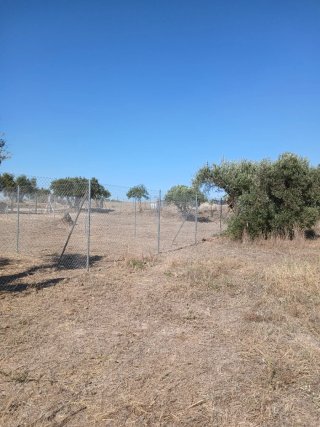 Parcelas alquiler en zona KARTING OCAÑA,  CIRUELOS