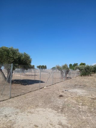 Parcelas alquiler en zona KARTING OCAÑA,  CIRUELOS