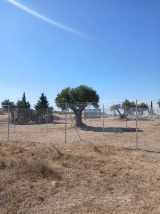 Parcelas alquiler en zona KARTING OCAÑA,  CIRUELOS