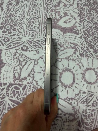iPhone 15 Pro Gris/Plata