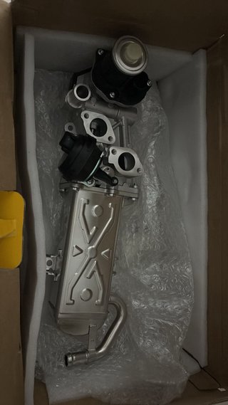Conjunto EGR Volkswagen Sharan 7n (2015)