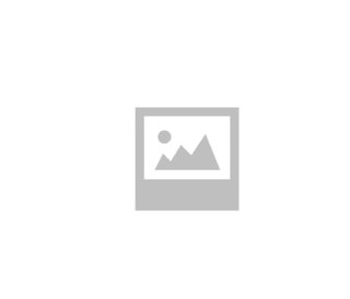 Mando elevalunas 254010f600 nissan terrano 388567