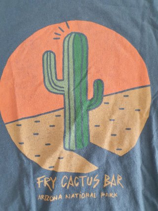 Camiseta Pull&Bear Cactus Arizona Talla M