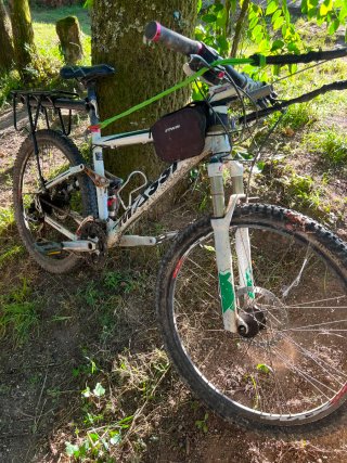 Bicicleta de Montaña