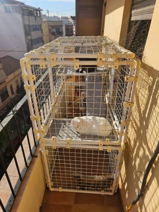 Jaula para mascotas