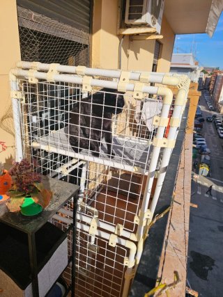 Jaula para mascotas