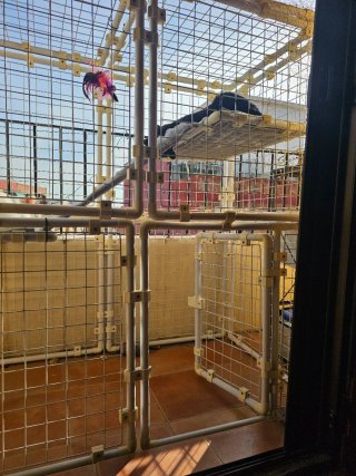 Jaula para mascotas