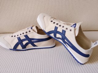 Zapatillas Asics Beige y Azul