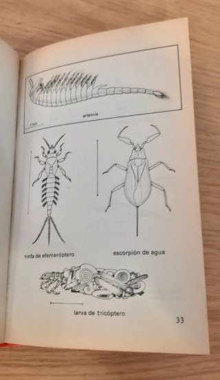 Aventuras con animales pequeños