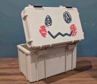 Caja Pokémon para Cartas y TCG | Organizador