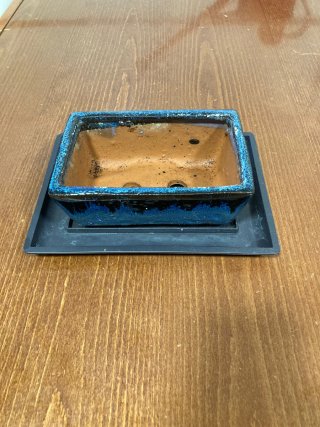Maceta, regadera y tijeras para bonsái