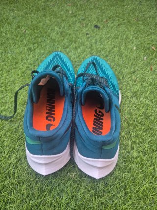Nike Air Zoom Winflo 6 Azul/Verde