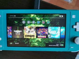Switch Lite Animal Crossing con giochi