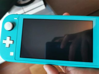 Switch Lite Animal Crossing con giochi