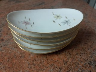 6 Piatti da Porcellana Vintage Thomas Rosenthal