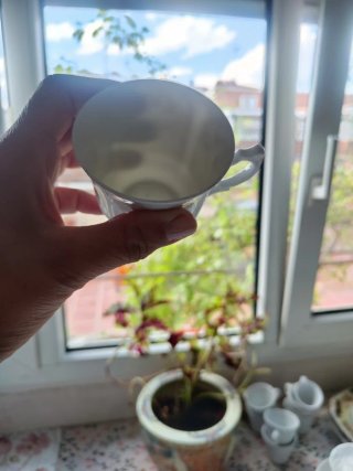 Juego de 6 tazas 6 platillos de porcelana Limoges