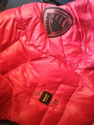 Giubbino Blauer rosso