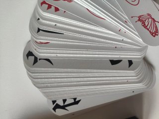 Baraja cartas chinas Wai Hu Zi / Zi Pai