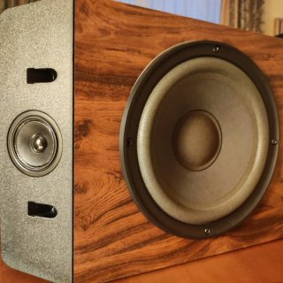 Altavoces Bose 301 IV Marrones y Negros