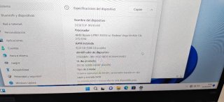 Lenovo Thinkpad X395 Ryzen 5