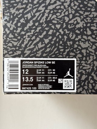 Air Jordan Spizike Low ‘Do The Right Thing’