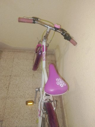 Bici infantil niña de 8/9/10 años
