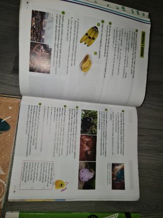 Libros 3° PRIMARIA