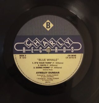 Aynsley Dunbar - Blue Whale Vinilo LP