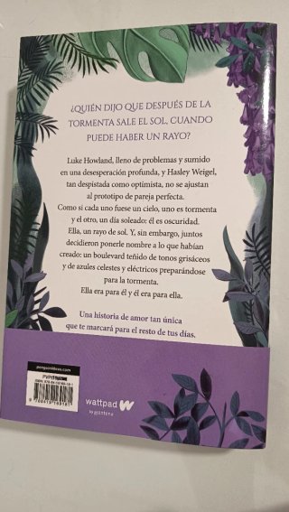 Boulevard La versión de Flor. Libro 1