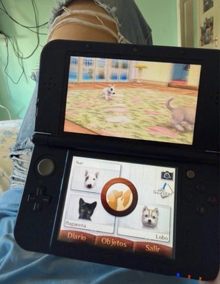 Nintendo 3DS XL + Nintendogs + Cats (senza caricatore)