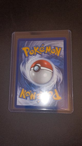 Carta Pokémon Garchomp EX 038/182