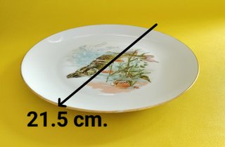6 Platos Limoges Llano 21.5cm Peces