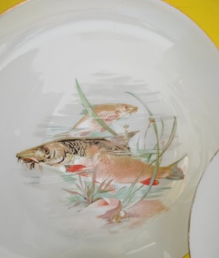 6 Platos Limoges Llano 21.5cm Peces