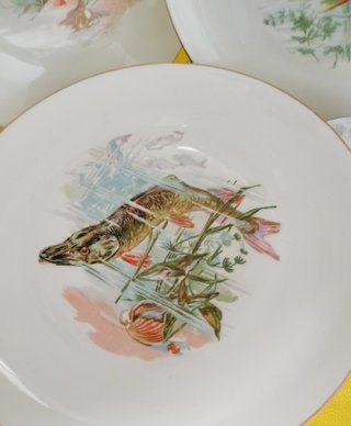 6 Platos Limoges Llano 21.5cm Peces