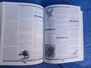 Warhammer Fantasy. Juego de rol  1º Edicion