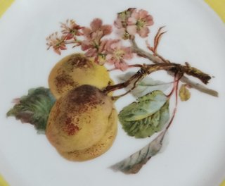 5 Platos Postre Limoges Porcelana