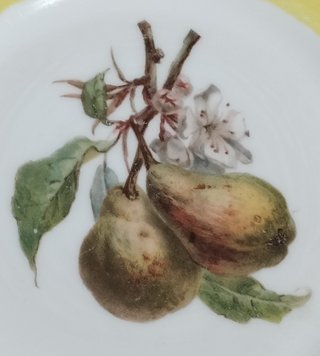 5 Platos Postre Limoges Porcelana