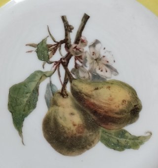 5 Platos Postre Limoges Porcelana