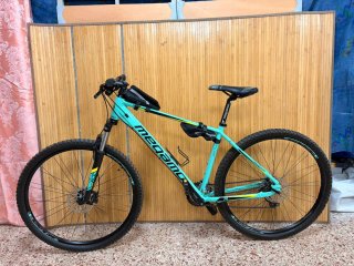 Bicicleta Megamo Natural 60 29