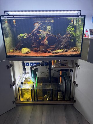 Acuario 400L con Sump