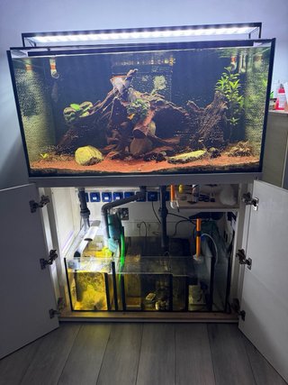 Acuario 400L con Sump
