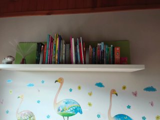 Habitación infantil/juvenil litera