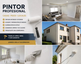 Pintor Profesional Casas Pisos Locales