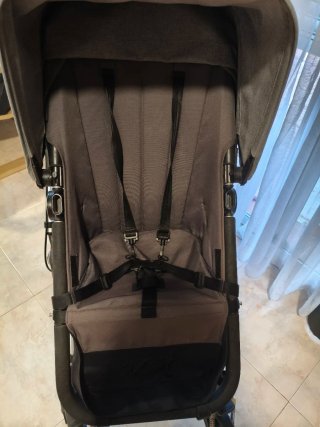 Carrito Bugaboo Camaleón 3